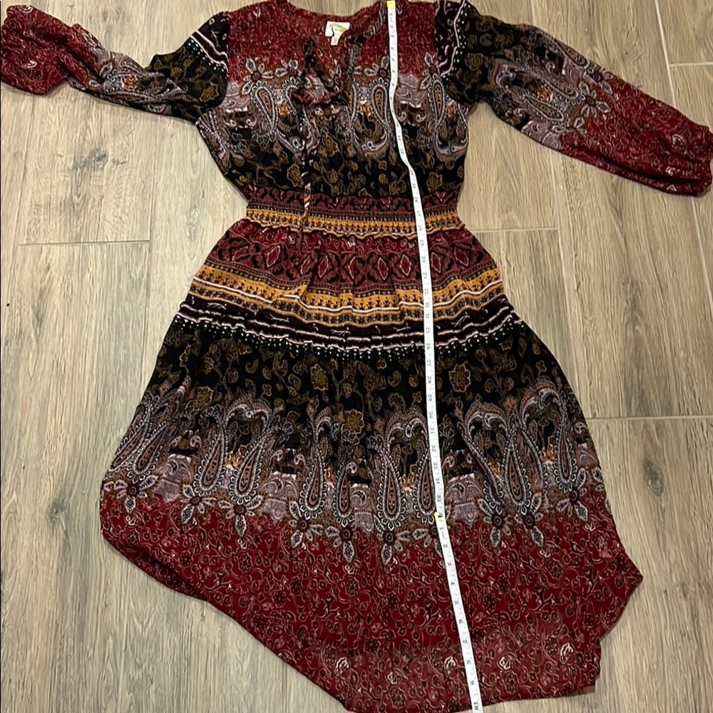 Fig & Flower Anthropologie Dress Sheer Boho Paisley Bishop Maxi Fall Rust Brown - Picture 12 of 16